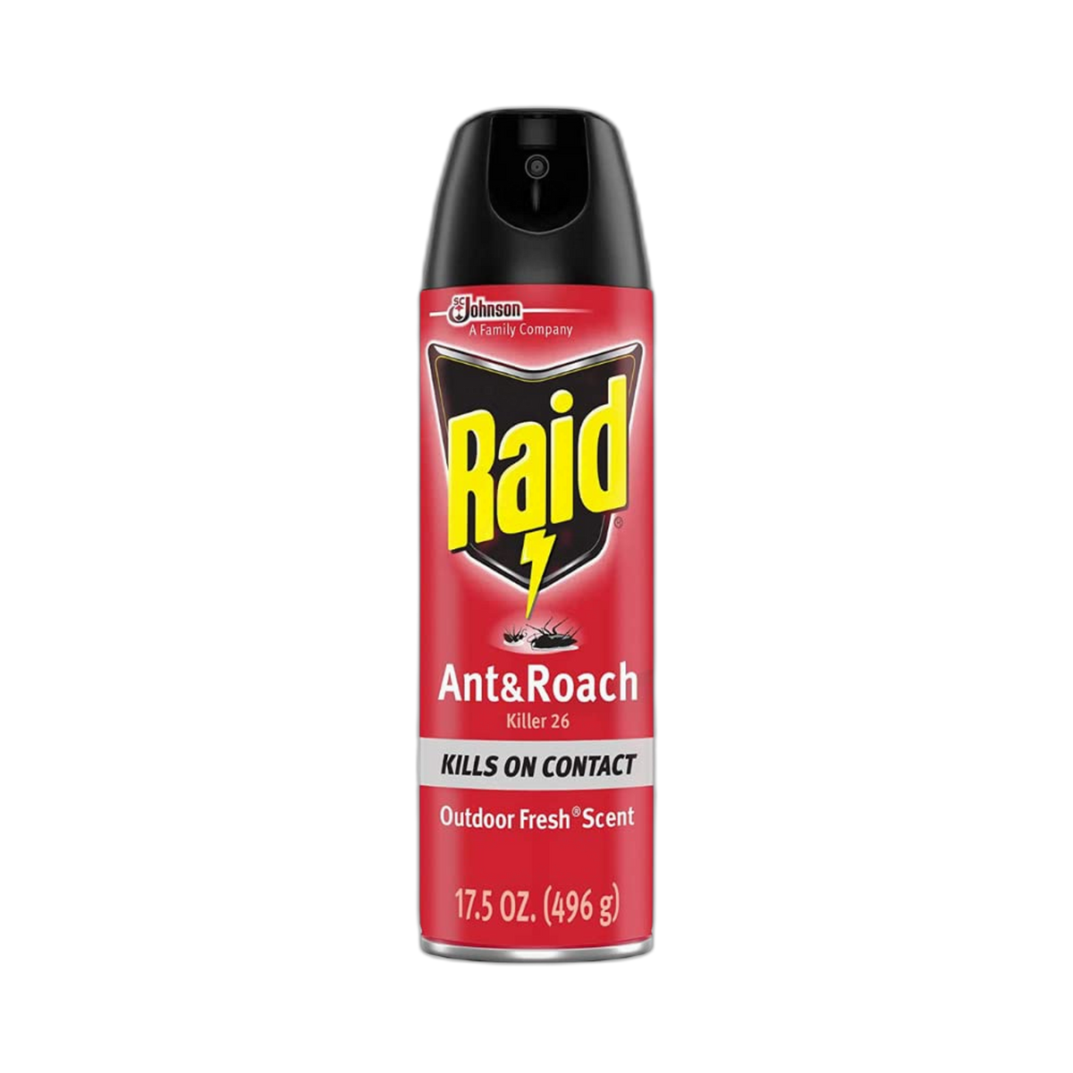 Raid Ant & Roach Killer Insecticide Spray-Outdoor Fresh - 17.5 oz, Clear