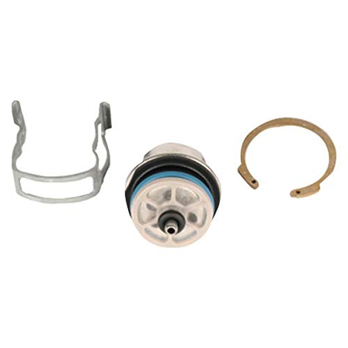 ACDelco GM Original Equipment 19210686 Fuel Injection Pressure Regulator Kit with Regulator and Clips