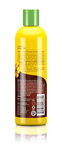 Alba Botanica Drink It Up Coconut Milk Hawaiian Conditioner, 12 oz. (Packaging May Vary)