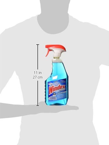 Windex 2700 RTYH