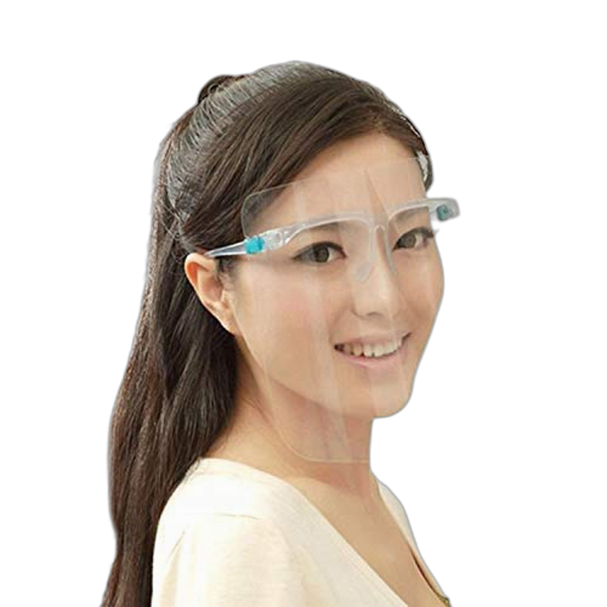 Face Shield with Goggle (5 Count)
