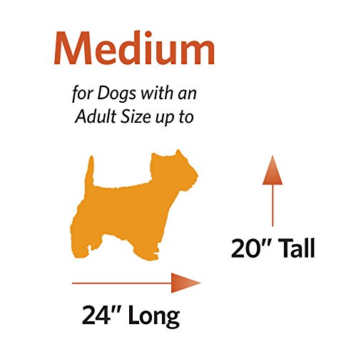 MidWest Homes for Pets Medium QuietTime Deluxe Coco Chic Pet Bed, Ultra-Soft & Overstuffed, Machine Washable, Fits 30-inch Crate