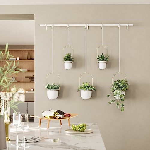 Umbra Triflora Hanging Planter for Window, Indoor Herb Garden, Set of 5, White/Brass
