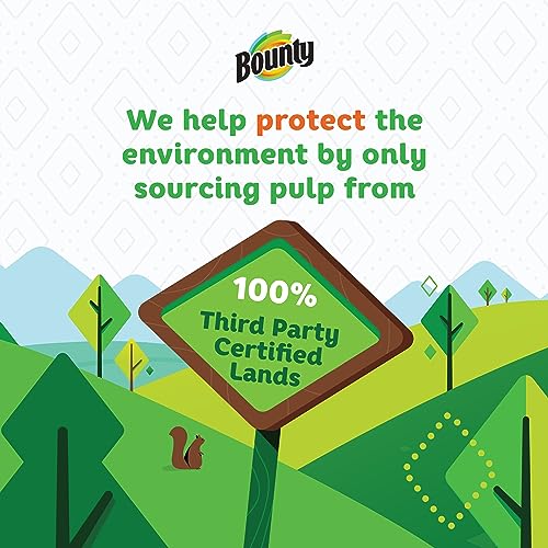 Bounty Select-A-Size Paper Towels, 2 Count