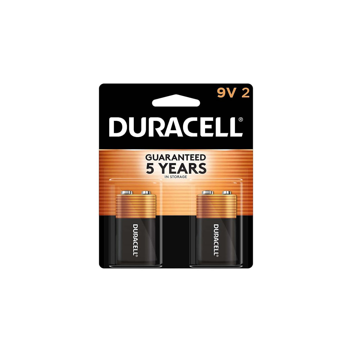 Duracell Alkaline 9 VT Box 2 Pack Mn1604b2z product image 1