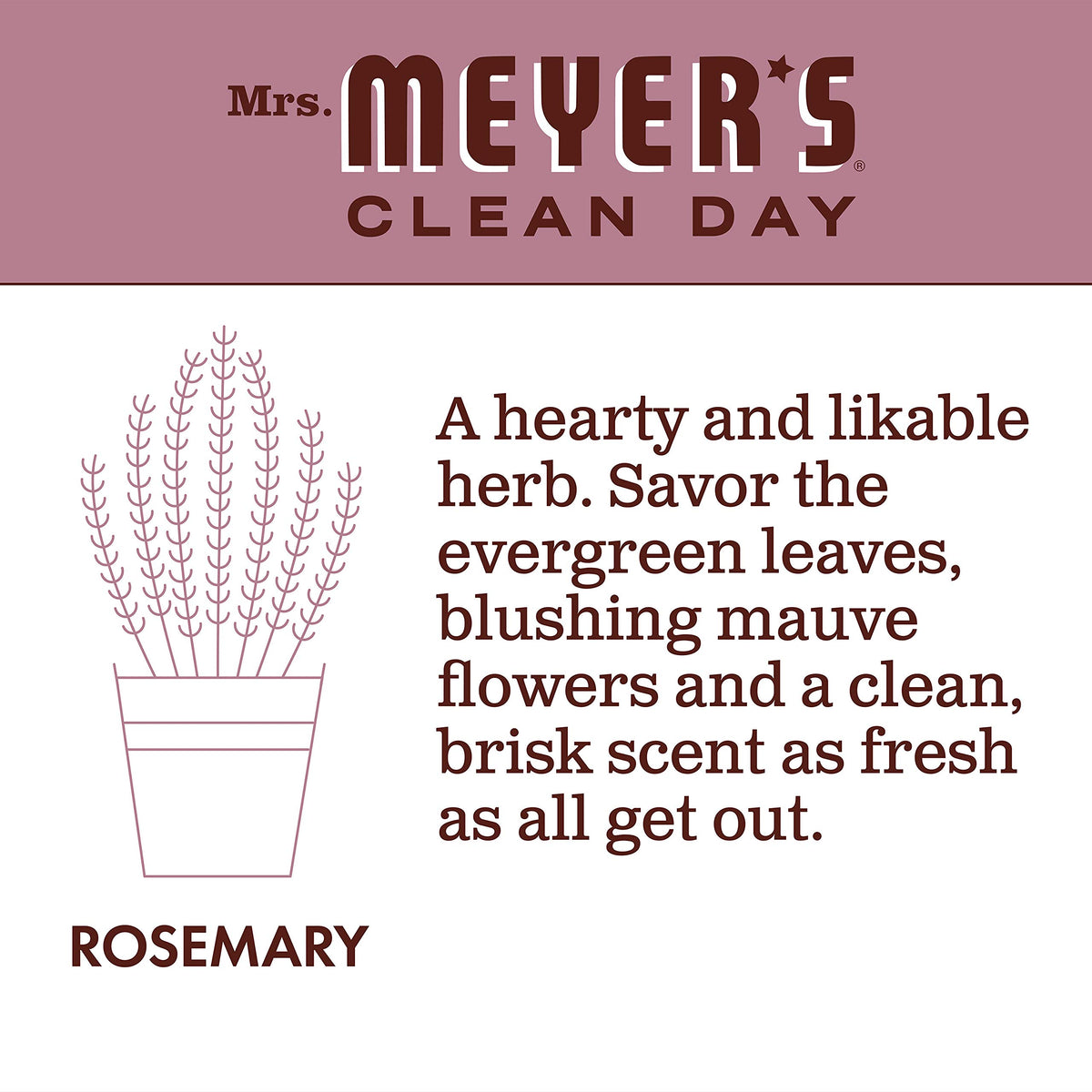 Mrs Meyer's, Liquid Dish Soap Rosemary, 16 Fl Oz