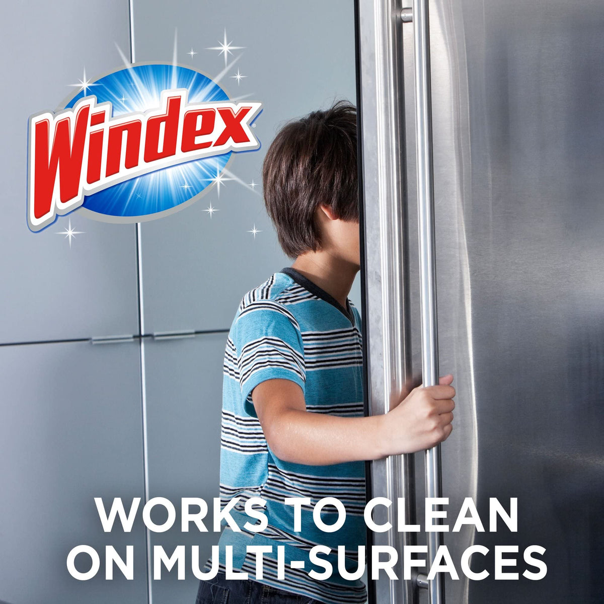 Windex Disinfectant Cleaner Multi-Surface Refill 67.6floz (2 Pack)