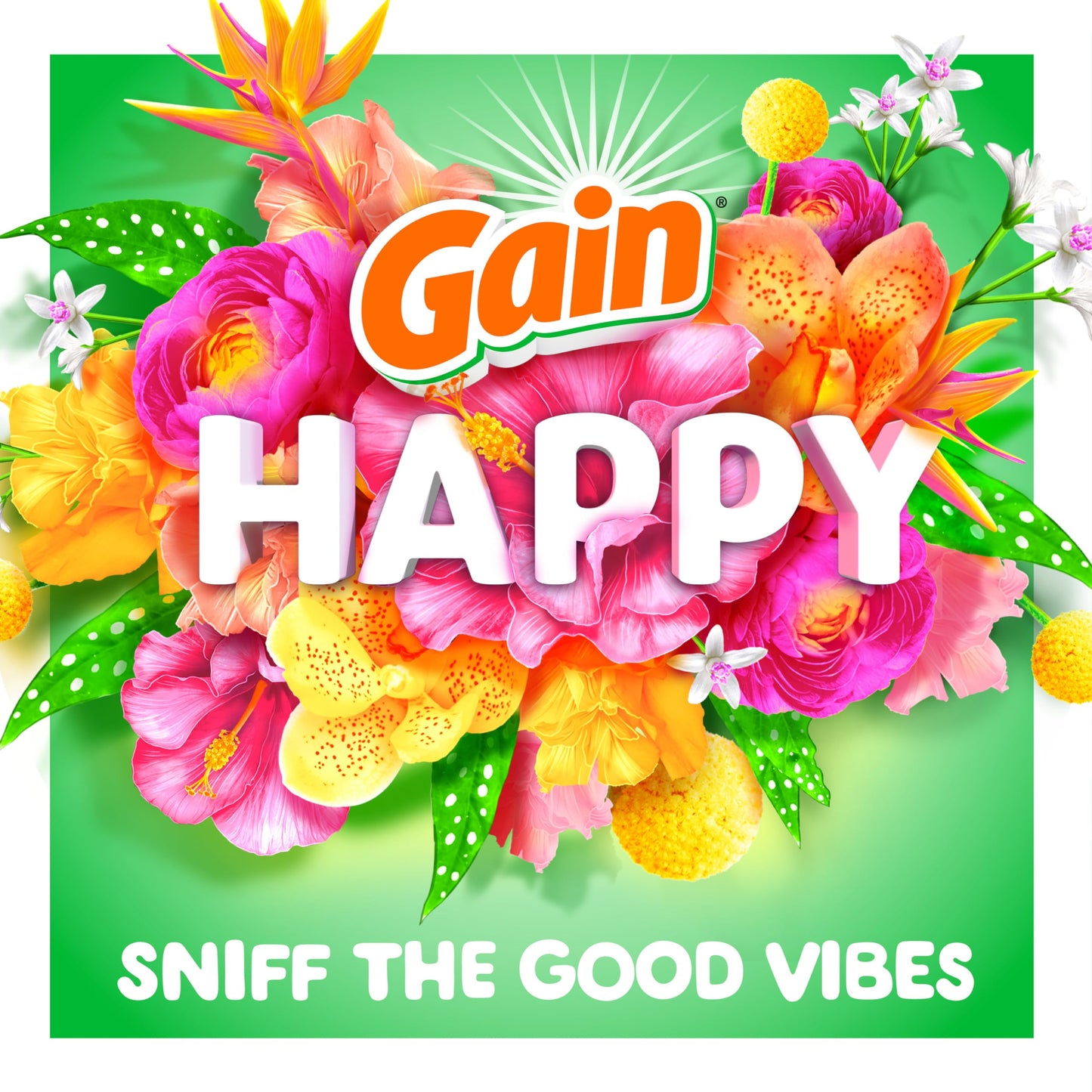 Gain Scent Booster Beads, In-Wash Laundry Scent Beads for Long-Lasting Freshness and Odor Protection, Happy Scent for an Enhanced Laundry Experience, 24 Oz (Packaging May Vary)