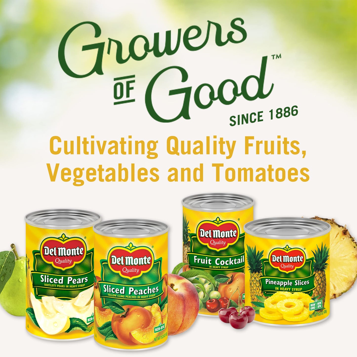 Del Monte Mandarin Oranges in Extra Light Syrup, 15 oz Can (Pack of 12), Canned Fruit