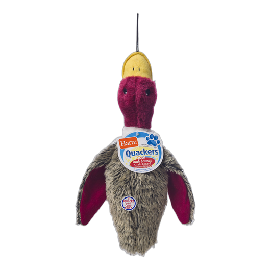 Hartz Nature's Collection Quackers Plush Duck Dog Toy - Large