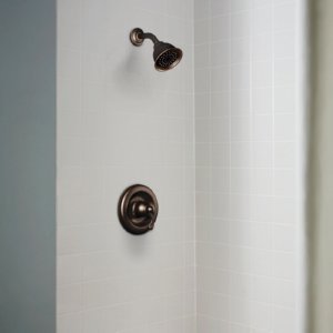 Moen T2121, Chrome