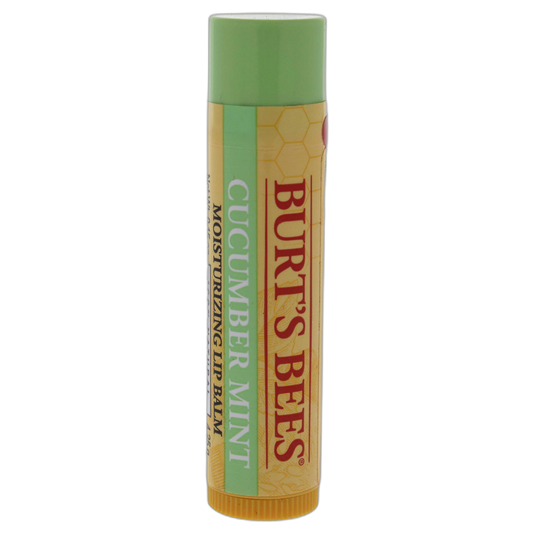Burt's Bees Cucumber Mint Moisturizing Lip Balm for Women, Orange, 0.15 Oz
