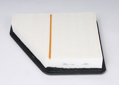 ACDelco Professional A3138C (25899727) Air Filter