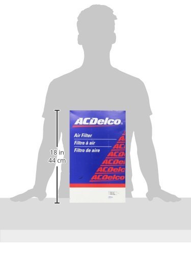 ACDelco GM Original Equipment A3175C Air Filter