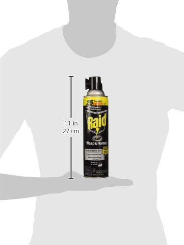 Raid Wasp & Hornet Killer Spray, 17.5 OZ (3 Pack)