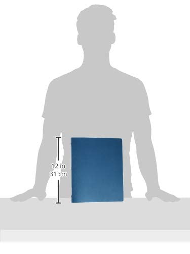 Avery Hanging Storage 3 Ring Binder, 1 Inch Round Rings, 1 Blue Binder (14800)