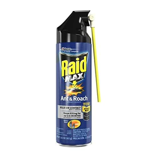 Raid Max Ant and Roach Spray 14.5 Ounce (Pack of 1)