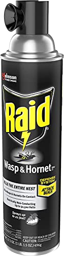 Raid Wasp & Hornet Killer Spray, 17.5 OZ (3 Pack)