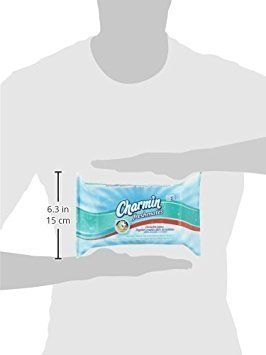 Charmin freshmates flushable 80 sheets 2pack