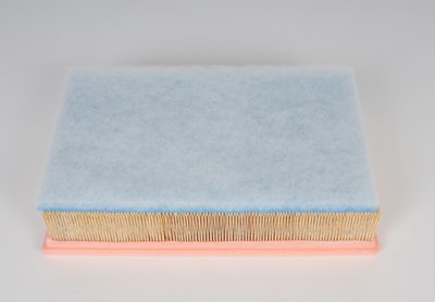 ACDelco GM Original Equipment A3146C Air Filter