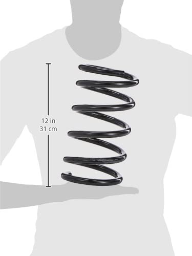 ACDelco Professional 45H2106 (19186033) Rear Coil Spring Set