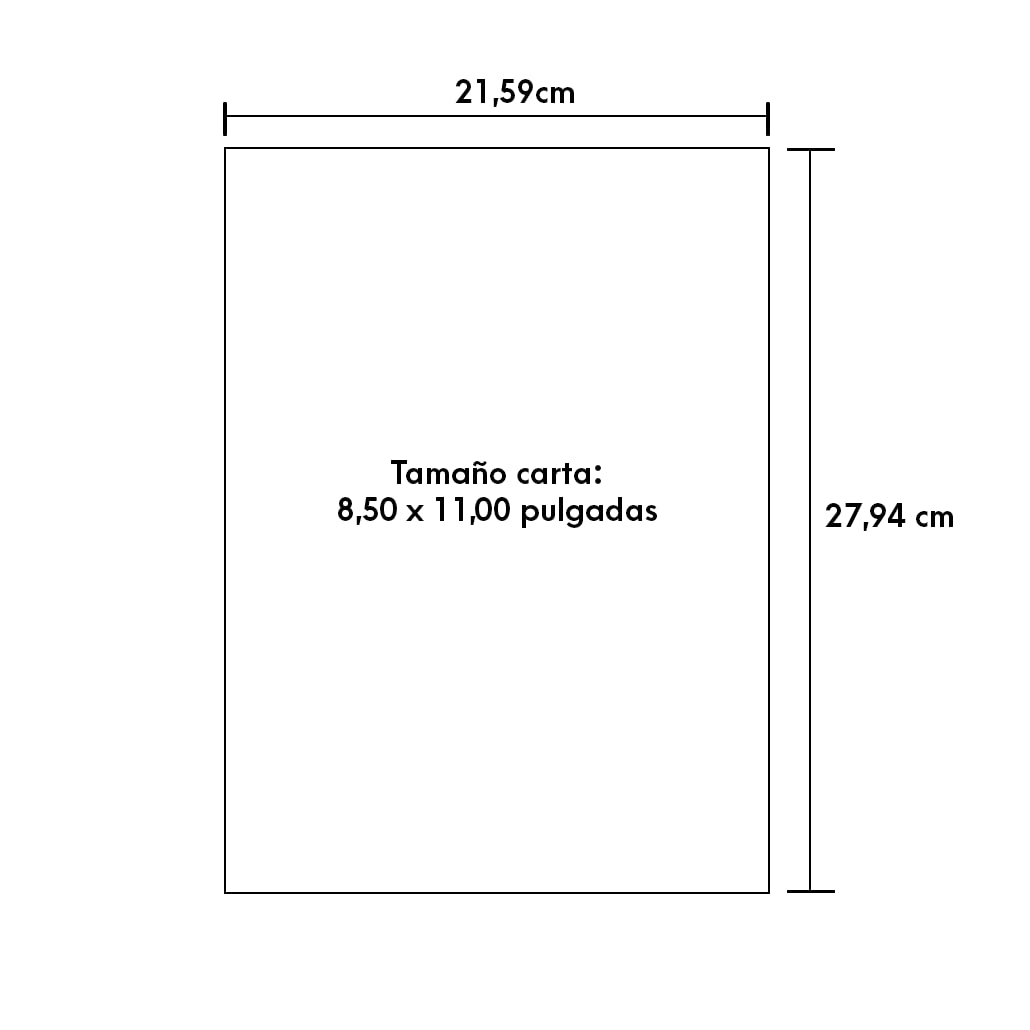 Epson Dye Sublimation 8.5" x 11" 100 Sheets Multi-Use Transfer Paper (S450361)