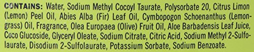 MRS. MEYER'S CLEAN DAY Foaming Hand Soap, Biodegradable Formula, Lemon Verbena, 10 oz