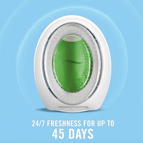 Febreze Small Spaces Air Freshener, Plug in Alternative, Gain Original Scent, 3 Count pack (Case of 6 packs)
