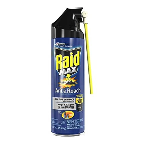 Raid Max Ant and Roach Spray 14.5 Ounce (Pack of 1)