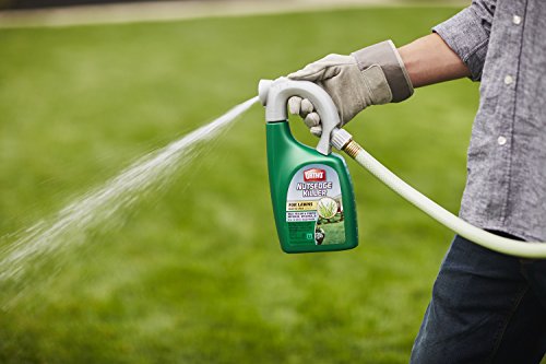 Ortho Nutsedge Killer for Lawns Ready-To-Spray, 32 fl oz - Packaging may vary