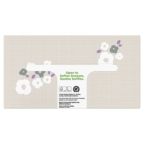 Puffs Plus Lotion Facial Tissues, 1 Regular Box, 68 Tissues per Box (Packaging May Vary)