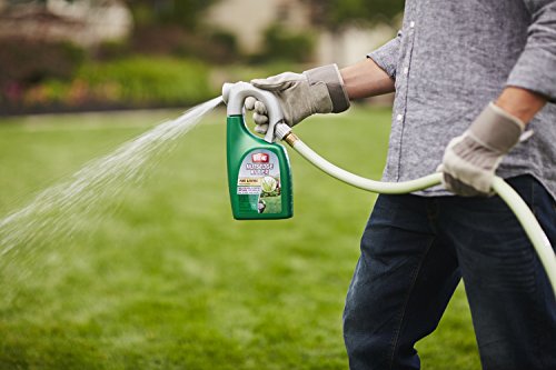 Ortho Nutsedge Killer for Lawns Ready-To-Spray, 32 fl oz - Packaging may vary