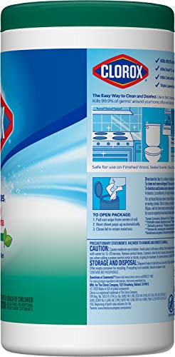 Clorox, Bleach Free Wipes, Fresh, 75 Count