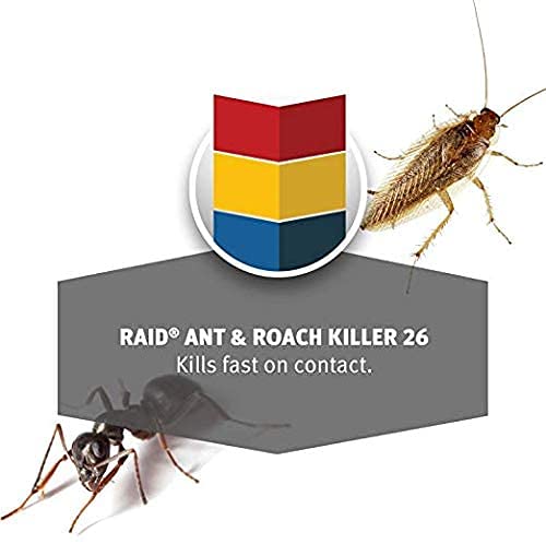 Raid Ant & Roach Spray Outdoor Fresh 17.50 oz (Pack of 6)