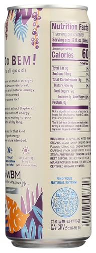 Oca Organic Berry Acai Energy Drink, 12 Fz