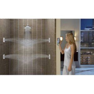 Moen TS1320 Mosaic Square Square-Function Body Spray, Valve Required, Chrome