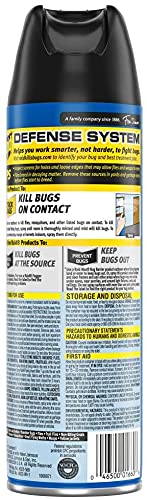 Raid Flying Insect Killer, 15 Ounce (Pack of 12)