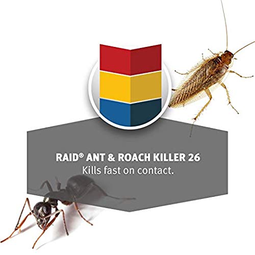 Raid Ant & Roach Killer Defense System, Outdoor Fresh Scent 17.5 Ounce (Pack of 12)