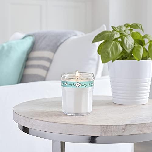 Mrs. Meyer's Clean Day Soy Aromatherapy Candle, Made Essential Oils, Basil, 7.2 Ounce (Pack of 3)