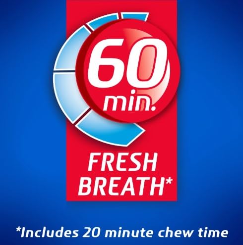 Dentyne Ice Sugar Free Gum - Peppermint 16-Piece Pack (9 Packs)