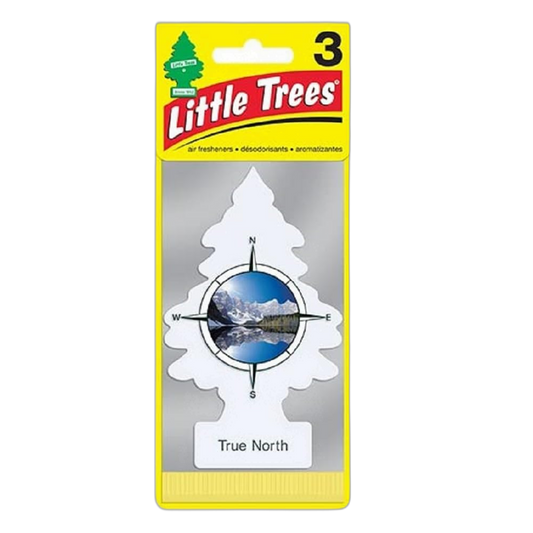LITTLE TREES Car Air Freshener | Hanging Paper Tree for Home or Car | True North | 3 Pack
