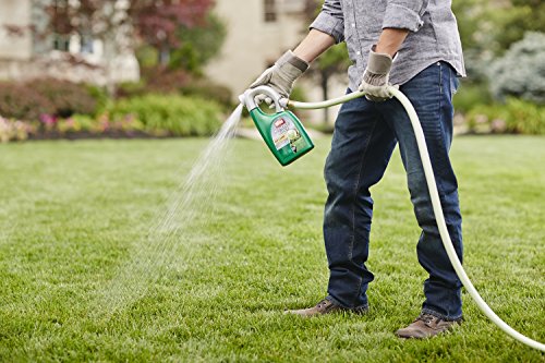 Ortho Nutsedge Killer for Lawns Ready-To-Spray, 32 fl oz - Packaging may vary