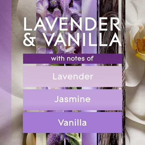Lavender and Vanilla Scented Oil Plug-in Holder
