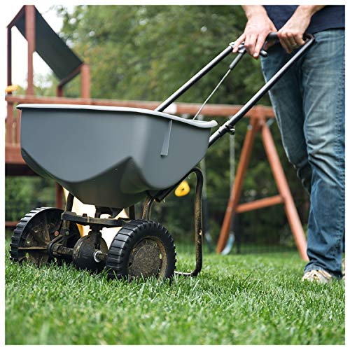 Spectracide Weed Killer, 10.8 lb, Clear