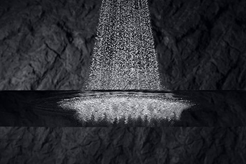 FLIPSIDE® 01 SHOWERHEAD