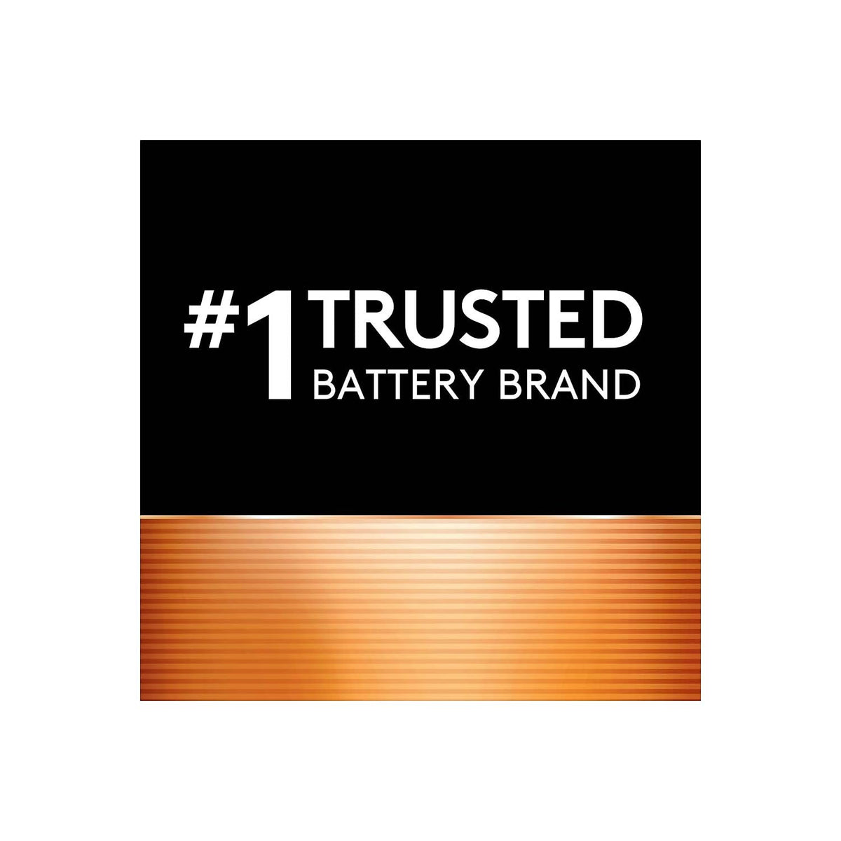 Duracell MN16RT4Z CopperTop Alkaline Batteries, 9V, 4/PK