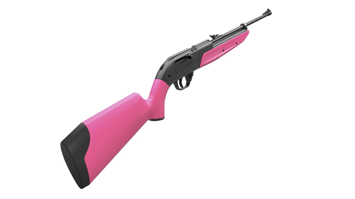 Crosman 760P Pump Master .177-Caliber Pellet/BB Air Rifle