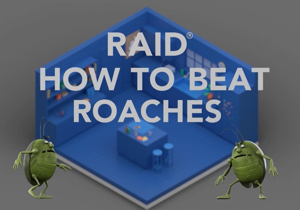 Raid Max Ant and Roach Spray 14.5 Ounce (Pack of 1)