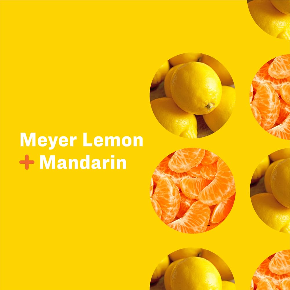 EVERYONE SOAP HAND LEMON MANDARIN