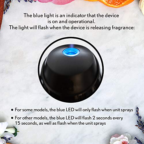 Air Wick Essential Mist, Essential Oils Diffuser, (Diffuser + 1 Refill), Pumpkin Spice, Fall Scent, Fall Spray, Air Freshener